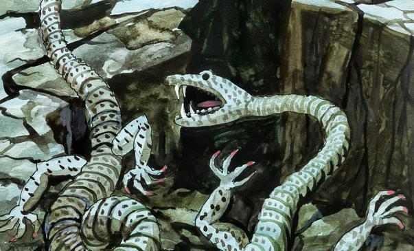 Қашкадарё бестиарийси