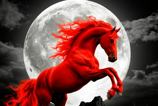 Оловли, қизил ва гўзал